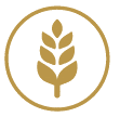Gluten
